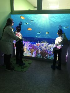 Сенсорная комната